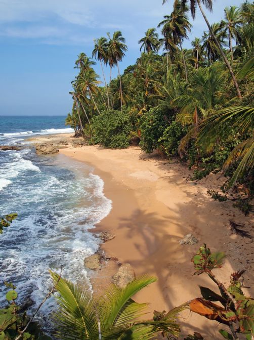 Cerca de la playa perfecta, justo al sur de Puerto Viejo