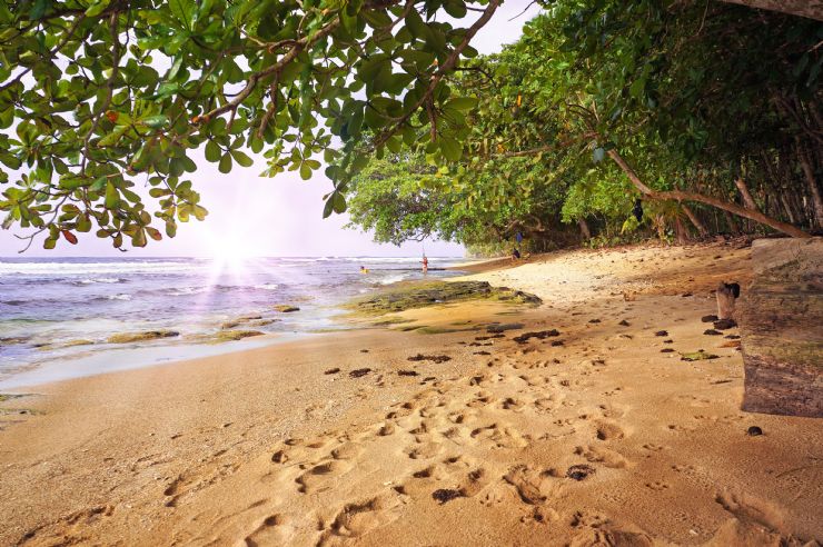 Resultado de imagen para playa manzanillo de costa rica